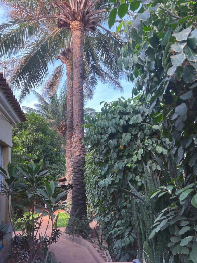 Casa Cacheu Homestay Guest House Bissau Extérieur photo